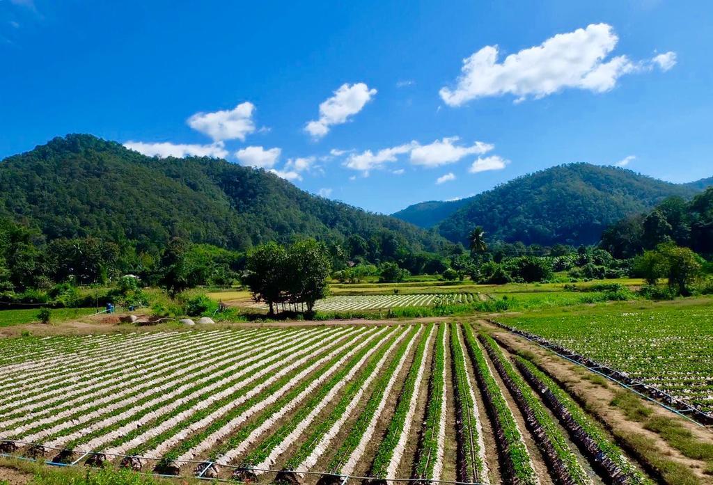Wongwan Farm Βίλα Samoeng Εξωτερικό φωτογραφία